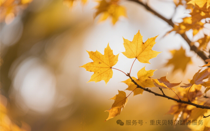 微信图片_2025-10-29_134148_117.png 微信图片_2025-10-29_134148_117.png