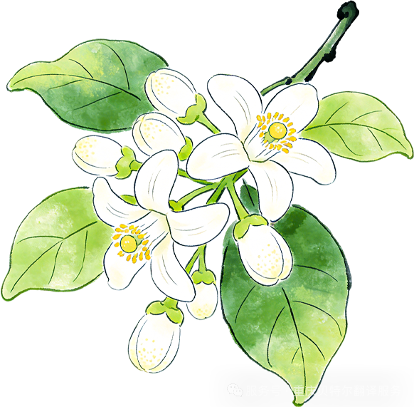 微信图片_2026-04-24_190020_421.png
